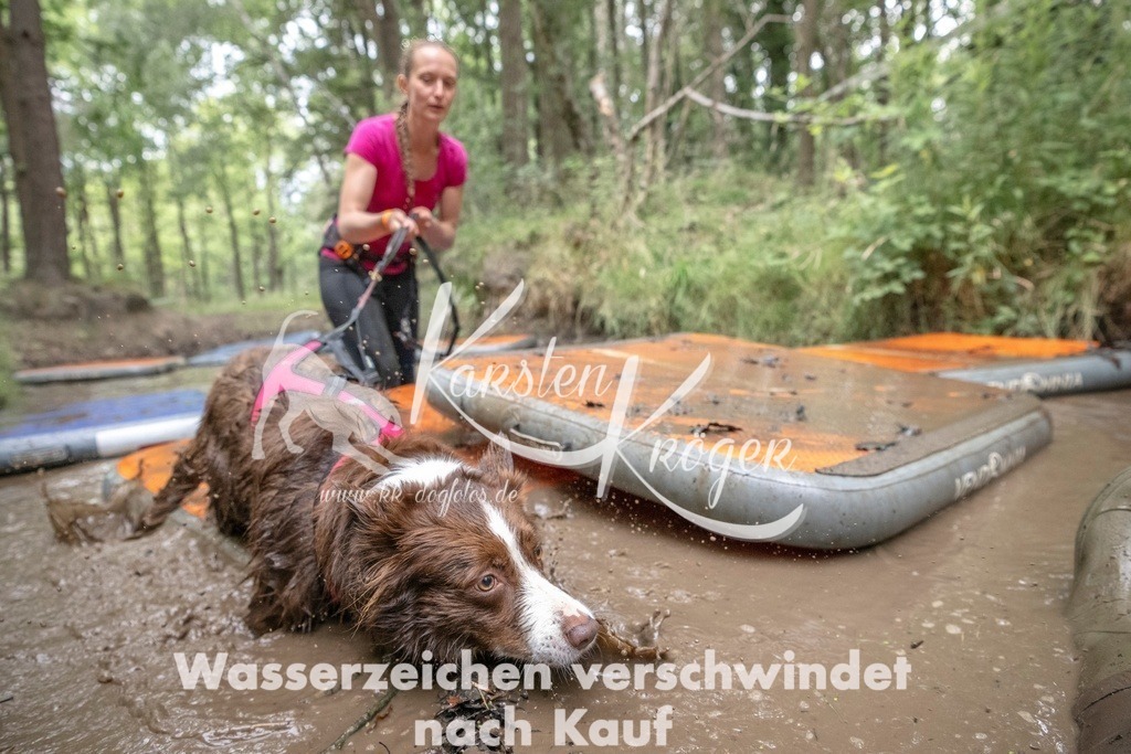 0926_ZZ92162T | kk-dogfotos