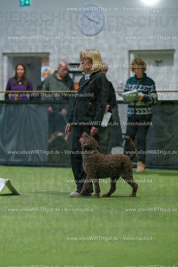 7R504923 | Professionelle Tierfotografie in Mönchengladbach von Daniel Wirth (allesWIRTHgut). Liebevolle & natürliche Bilder von Hunden & Katzen für unvergessliche Erinnerungen.