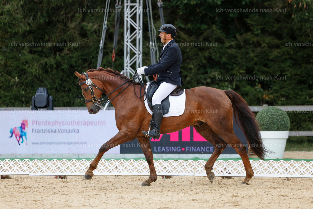 3-239-Dressur M_-StoibPH-2424 | working equitationturnier fotograf videograf stoibphotography marixx film working equitation deutschland reitsport turnierfotografie eventfotografie equestrian events