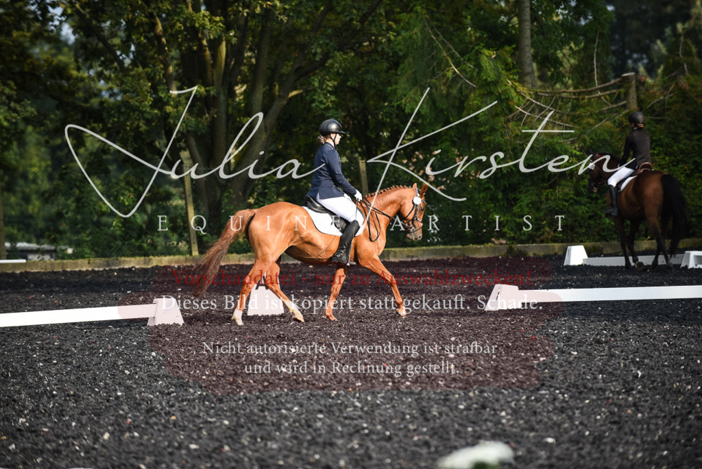 DSC_3422 | Pferde- und Turnierfotografie in Westsachsen. Pferdeportraits, Auftragszeichnungen und intuitive Kunst.