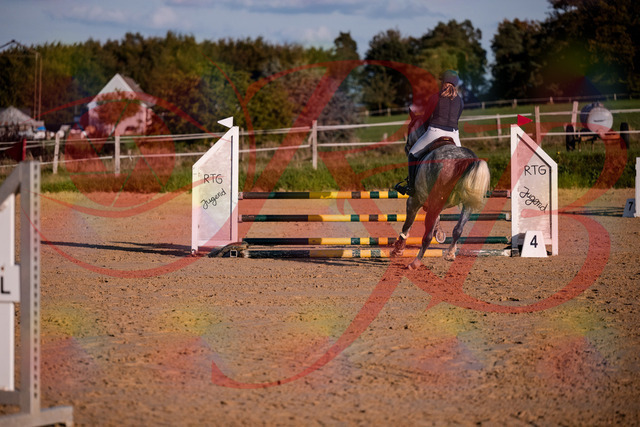 2026_10_03_Siefer-Hof_171404_Z81_11248263 | Professionelle Reitsport-, Turnier- und Eventfotografie von Robert Broda. Galerien mit ausgewählten und bearbeiteten Bildern direkt online ansehen und bestellen.