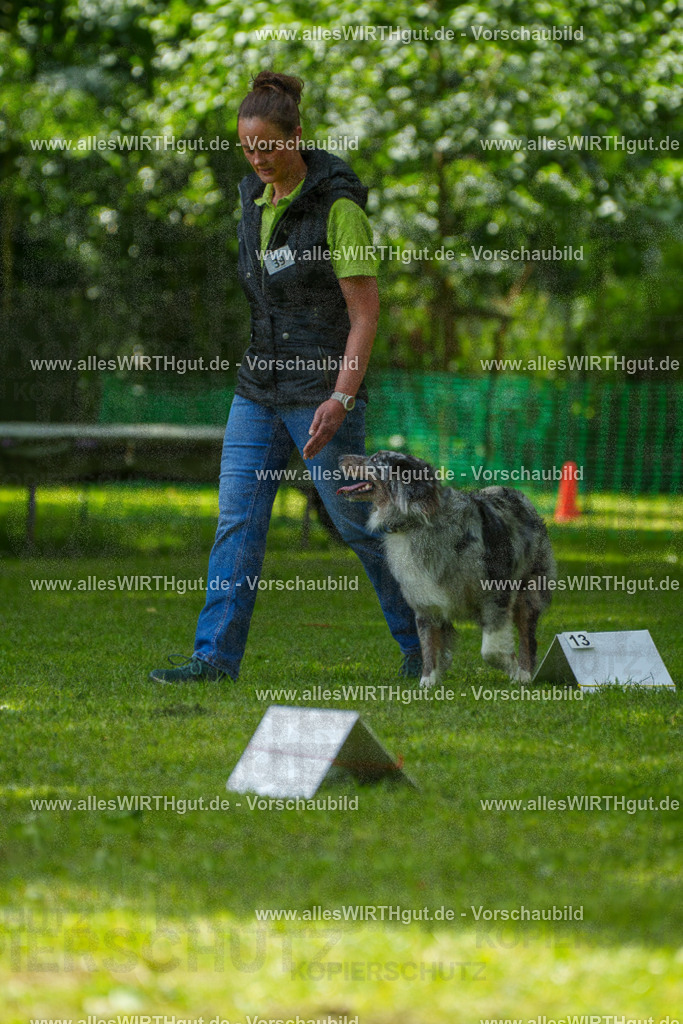 @allesWIRTHgut_Tierfotografie - www.allesWIRTHgut.de - 7R504809 | Professionelle Tierfotografie in Mönchengladbach von Daniel Wirth (allesWIRTHgut). Liebevolle & natürliche Bilder von Hunden & Katzen für unvergessliche Erinnerungen.