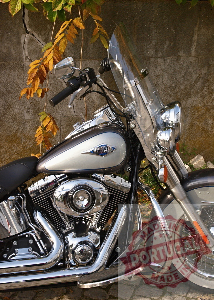 Harley-Davidson motorcycle engine and chrome detail during autumn | Harley-Davidson cruiser motorcycle with chrome engine, fuel tank, and windshield parked outdoors - Realized with Pictrs.com