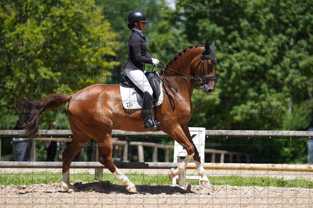 20240705-FAH03621 | Turnierbilder von Grafing, Reitsportbilder, Turnierfotos, Turnierfotografen Bayern, Pferdefotograf, Fotoagentur Herrmann