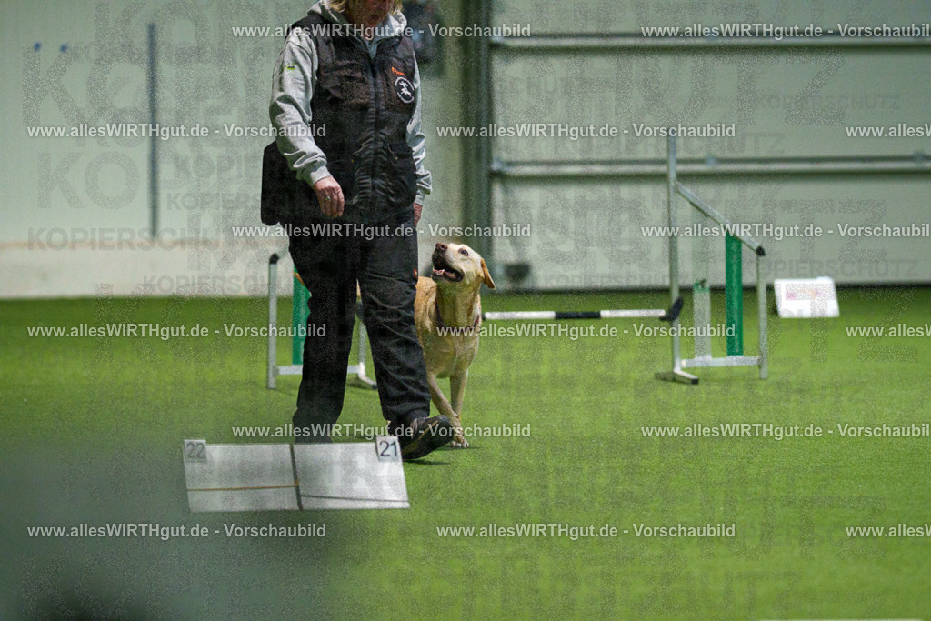 7R504663 | Professionelle Tierfotografie in Mönchengladbach von Daniel Wirth (allesWIRTHgut). Liebevolle & natürliche Bilder von Hunden & Katzen für unvergessliche Erinnerungen.