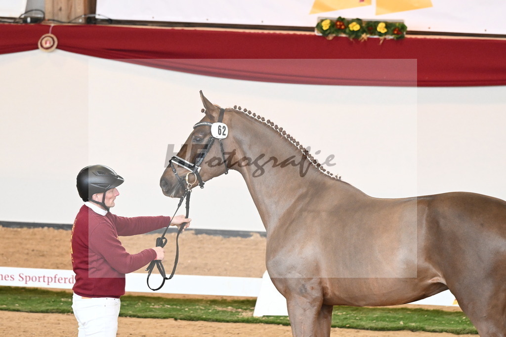 Kat.-Nr. 62 v. Shu Fu_Fischer_2240927 | hf-fotografie - Realisiert mit Pictrs.com