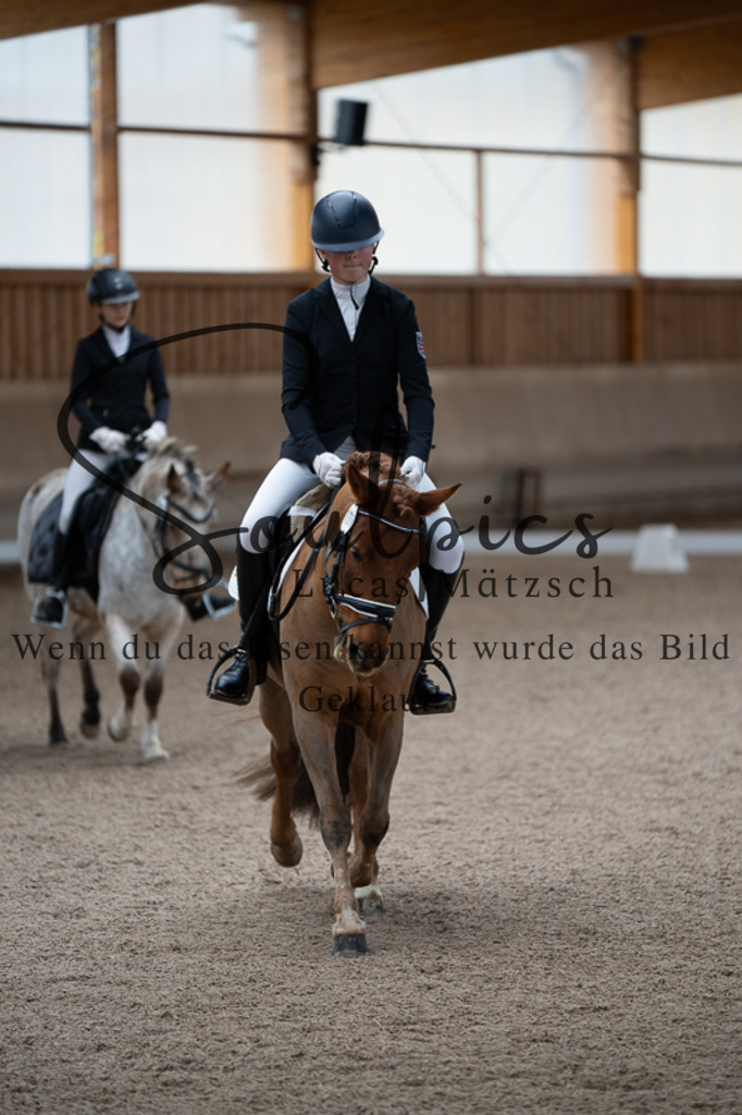 A7V02651 | Pferdefotograf