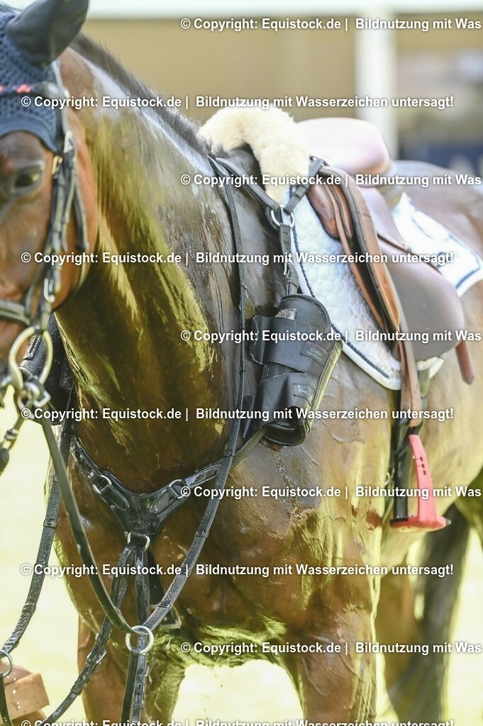 20230527_27_CCI4_Gelände_0482 | equistock