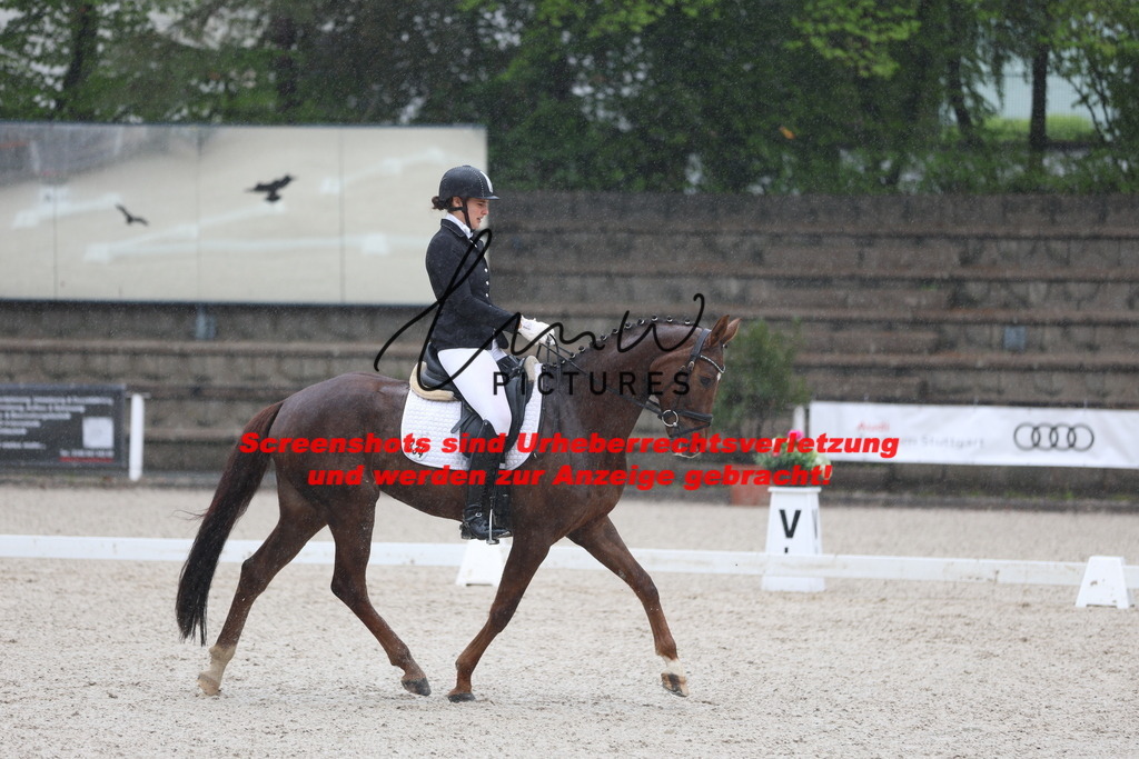 A40A7681 | lmwpictures - Realisiert mit Pictrs.com