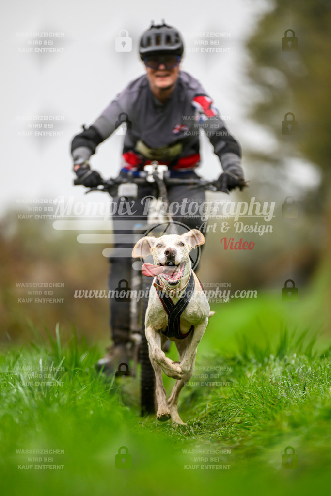 MompixPhotography_20TSB_E8_Bike-110 | PayLife