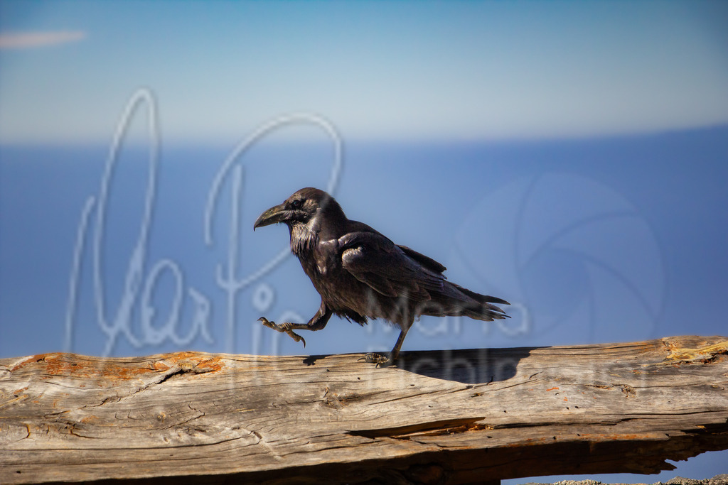 Mirador El Julan | marpic - Realisiert mit Pictrs.com