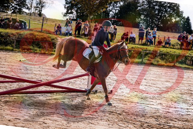 2026_10_03_Siefer-Hof_144651_Z81_23014378 | Professionelle Reitsport-, Turnier- und Eventfotografie von Robert Broda. Galerien mit ausgewählten und bearbeiteten Bildern direkt online ansehen und bestellen.