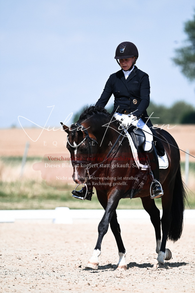 DSC_2943 | Pferde- und Turnierfotografie in Westsachsen. Pferdeportraits, Auftragszeichnungen und intuitive Kunst.