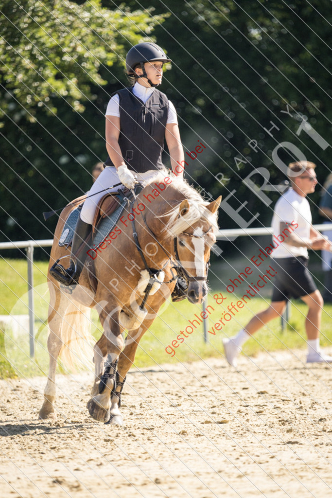 IMG_3057 | Sport-, Event- und Tierfotos in Profiqualität. Einfach auswählen, bestellen und herunterladen. Dein Moment – perfekt festgehalten.