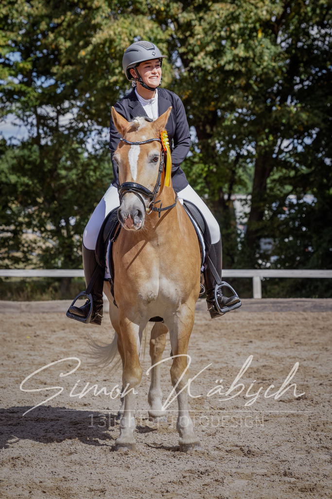 20250906-_3LI5736 | Tierfotografie Pferde, Hunde, Katzen, Haustiere.
Turnierfotografie Reitturniere, Reiten, Springreiten, Dressur in Hanau, dem Main-Kinzig-Kreis und dem Rhein-Main- Gebiet um Frankfurt
