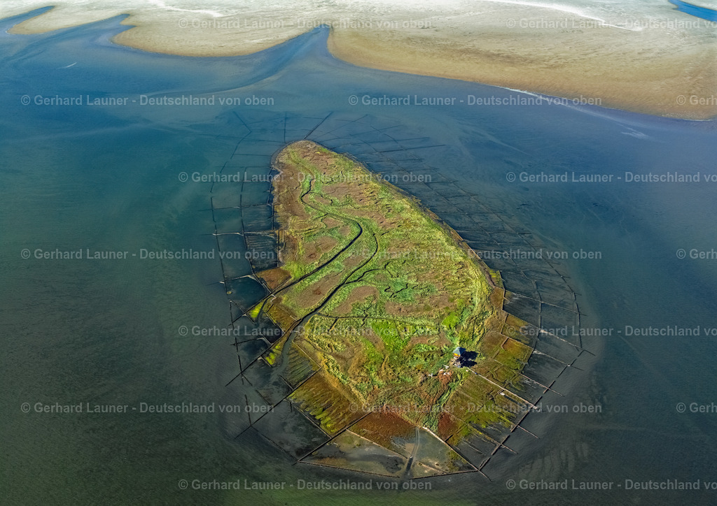 2581382 | NORDEROOG 26.07.2005 Küstenbereich und Naturschutzgebiet der Vogelfreistätte Hallig Norderoog im Bundesland Schleswig-Holstein, Deutschland. // Coastal area and nature reserve of the Hallig Norderoog bird sanctuary in the state Schleswig-Holstein, Germany. Foto: Gerhard Launer