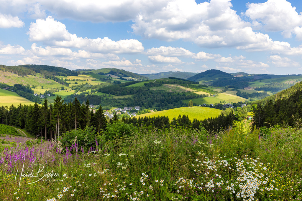 Schmallenberg-Westfeld | Sommerlicher Blick vom Graftenberg auf Westfeld im Schmallenberger Sauerland - Realisiert mit Pictrs.com