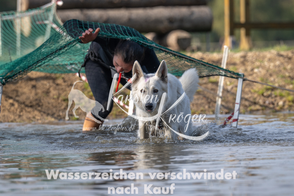 1031_ZZ93731 | kk-dogfotos