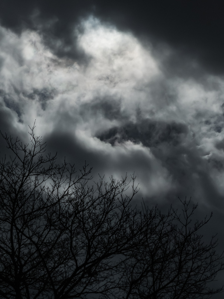 PSX_20230309_231625 | mtkfoto_ - Realisiert mit Pictrs.com