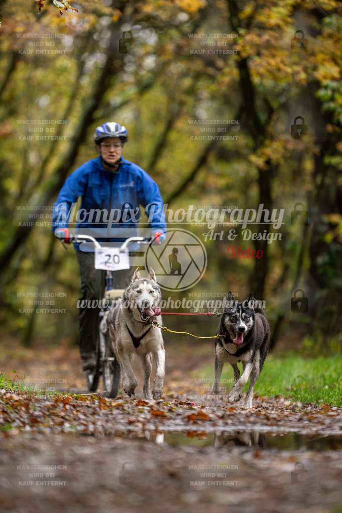 MompixPhotography_Bischwiller23_DS2-30 | mompixphotography