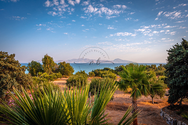 2024-07-10_06-54-17_950 | Blick auf Palmen und die Insel Kalymnos im Sommer bei blauem Himmel, Mastichari, Kos, Griechenland - Realisiert mit Pictrs.com