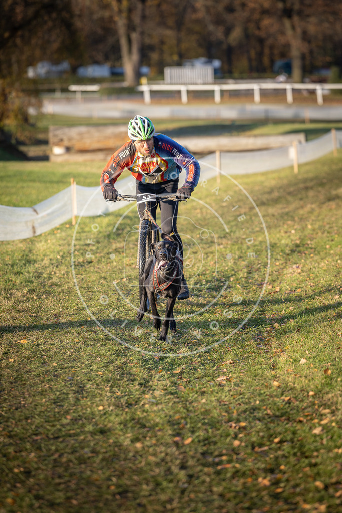 CaniXpix_DV3A0627 | Hundefotografie, Tierfotograf, Pfotenfotografie, Fotoshooting Hund, Hunde Portrait, Hundesport, Hundeportraits, Heideshooting, Hunde, Sportfotograf, Hundefotograf, Turnierhundsport, THS,  - Realisiert mit Pictrs.com