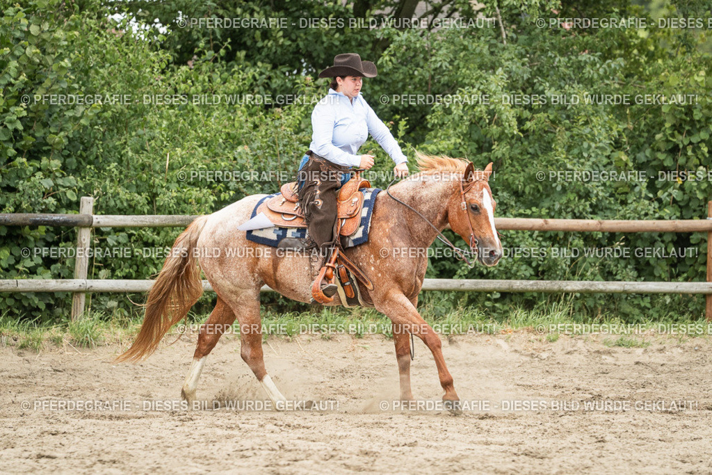 DSC04464 | Pferdegrafie