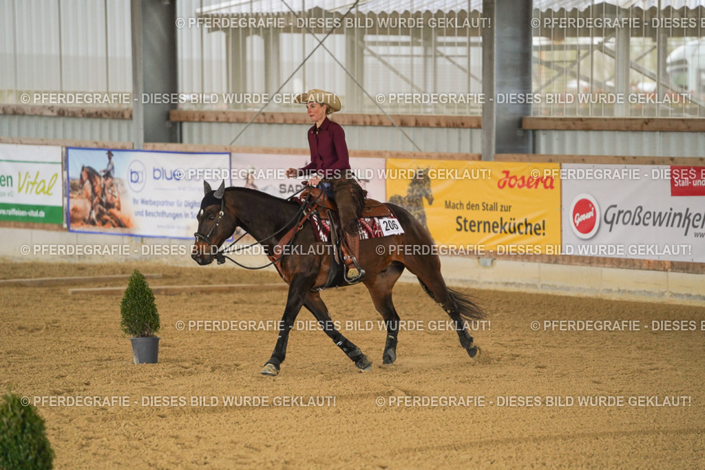 DSC03795 | Pferdegrafie