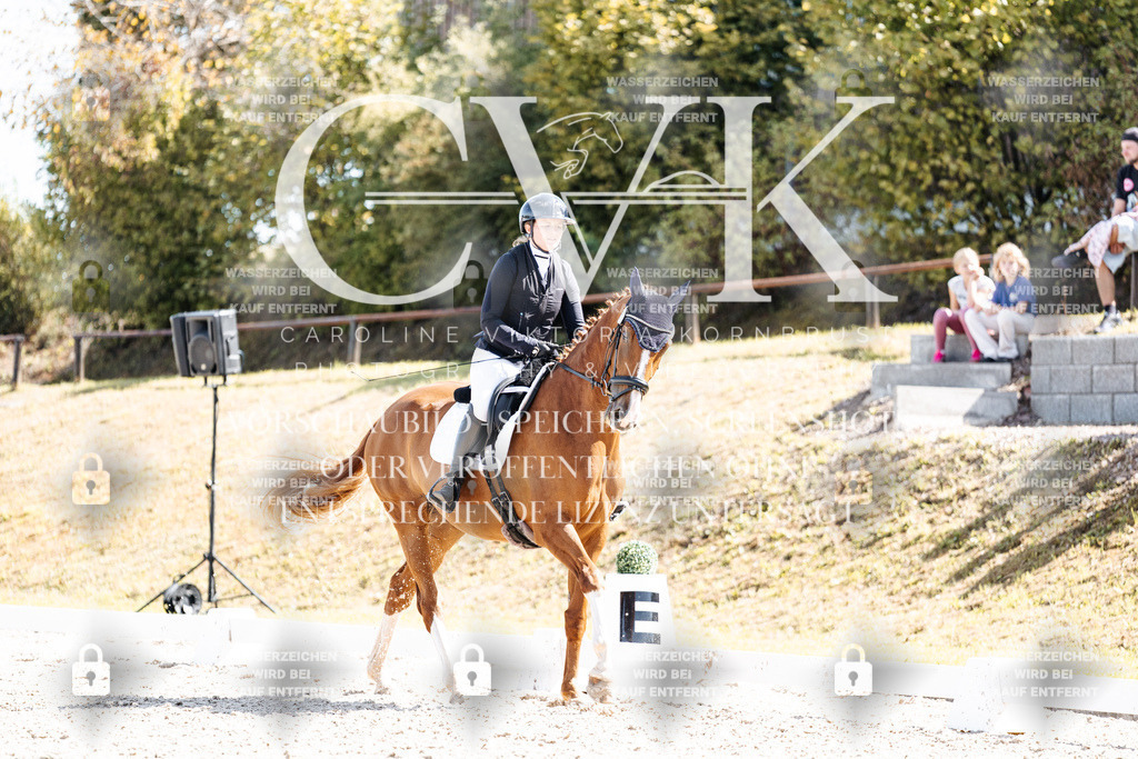 CK903234 | Turnierfotografie Pferdefotografie Trier Rheinland-Pfalz Pferdesport Reitsport Tierfotografie Sportfotografie Pferdevideo Pferdevideografie Equestrianvideography equestrianphotography  - Realisiert mit Pictrs.com