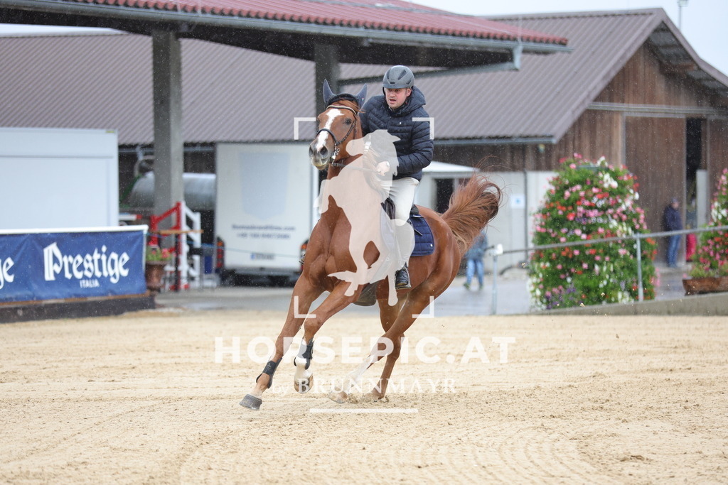 0P6A9198 | Willkommen bei Brunnmayr - Design & Fotografie – Ihrem Spezialisten für Reitturniere und Pferdeveranstaltungen in Oberösterreich, Salzburg und Bayern! Seit über 17 Jahren sind wir leidenschaftlich dabei.