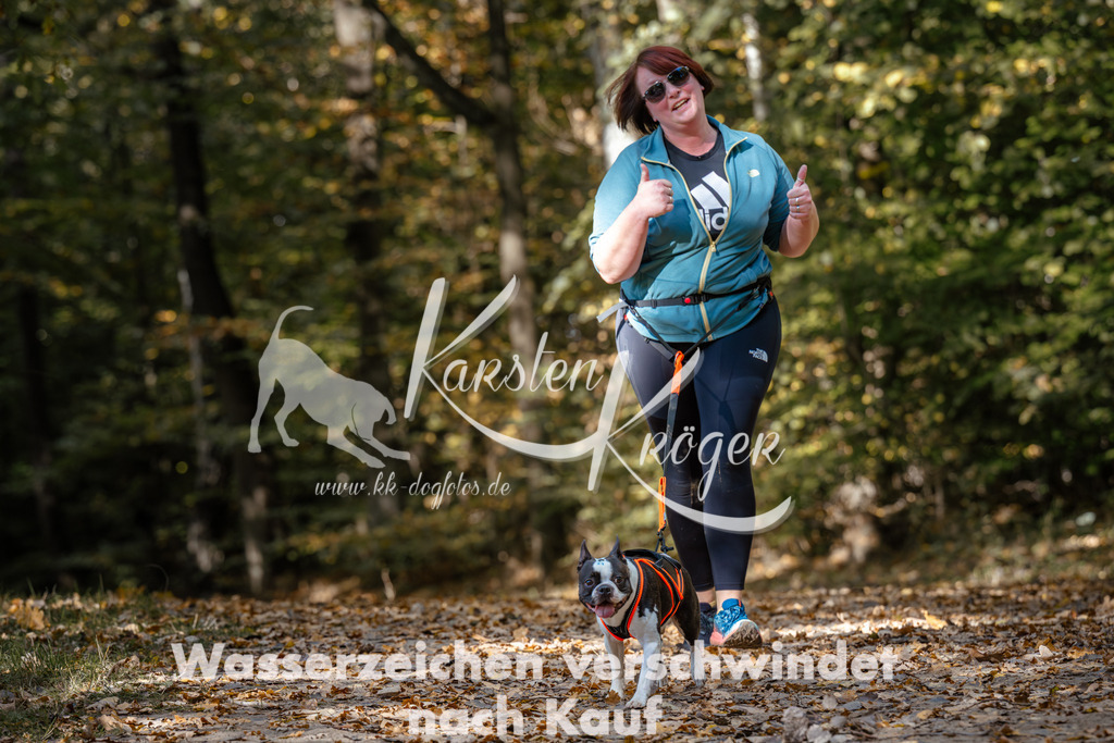 1247_ZZ96191 | kk-dogfotos