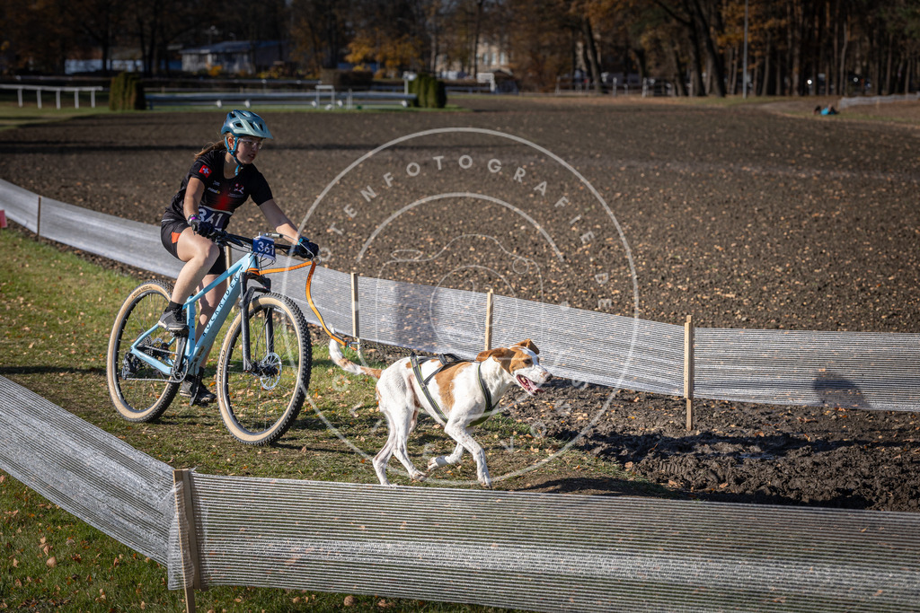 CaniXpix_DV3A7416 | Hundefotografie, Tierfotograf, Pfotenfotografie, Fotoshooting Hund, Hunde Portrait, Hundesport, Hundeportraits, Heideshooting, Hunde, Sportfotograf, Hundefotograf, Turnierhundsport, THS,  - Realisiert mit Pictrs.com