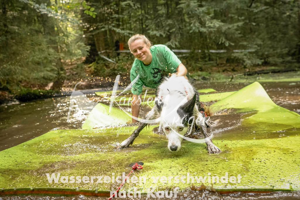 1412_ZZ91482-Bearbeitet | kk-dogfotos