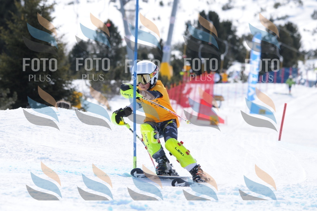 C9441 | holidayphoto