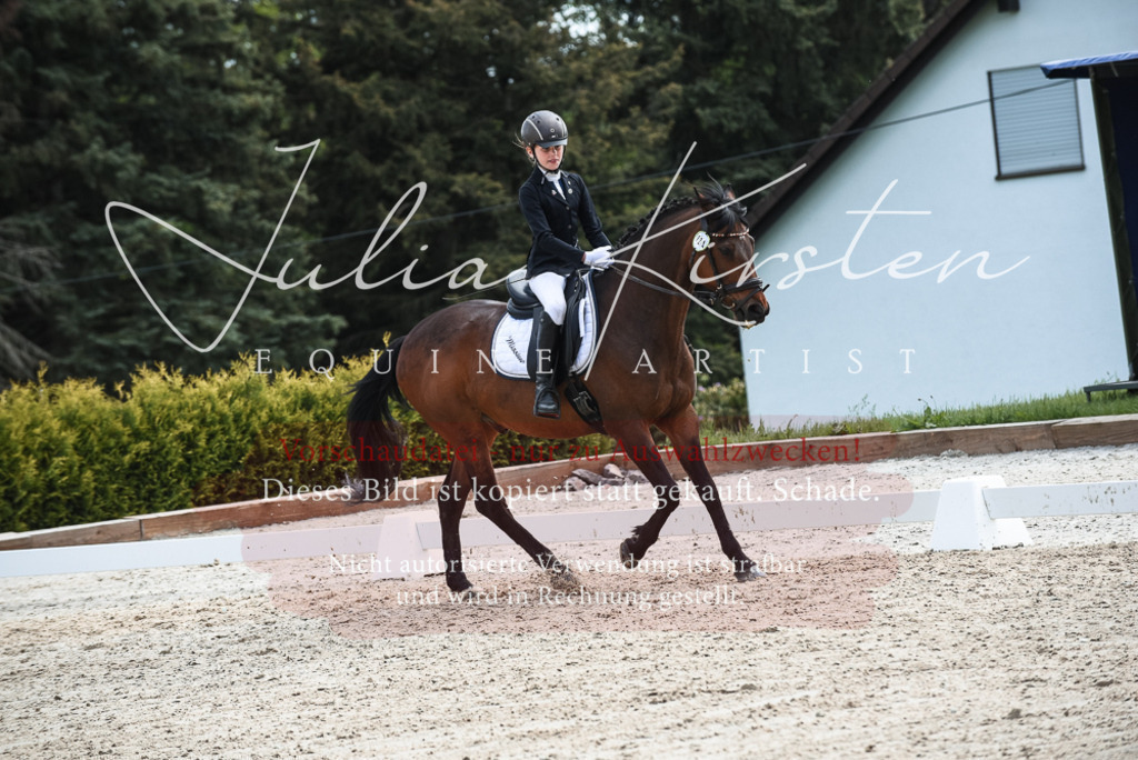 20230518_JK-Röhrsdorf-11-0853 | Pferde- und Turnierfotografie in Westsachsen. Pferdeportraits, Auftragszeichnungen und intuitive Kunst.