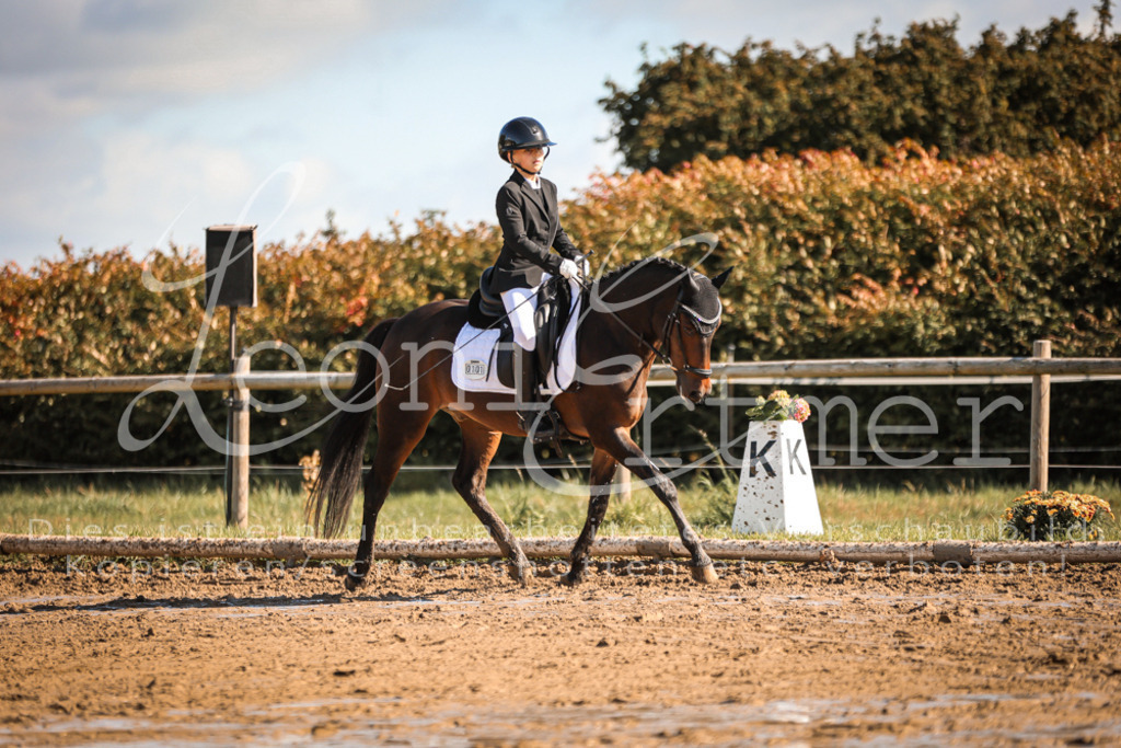 07.SoDrE00214 | Leoni Ertmer Photography - Realisiert mit Pictrs.com