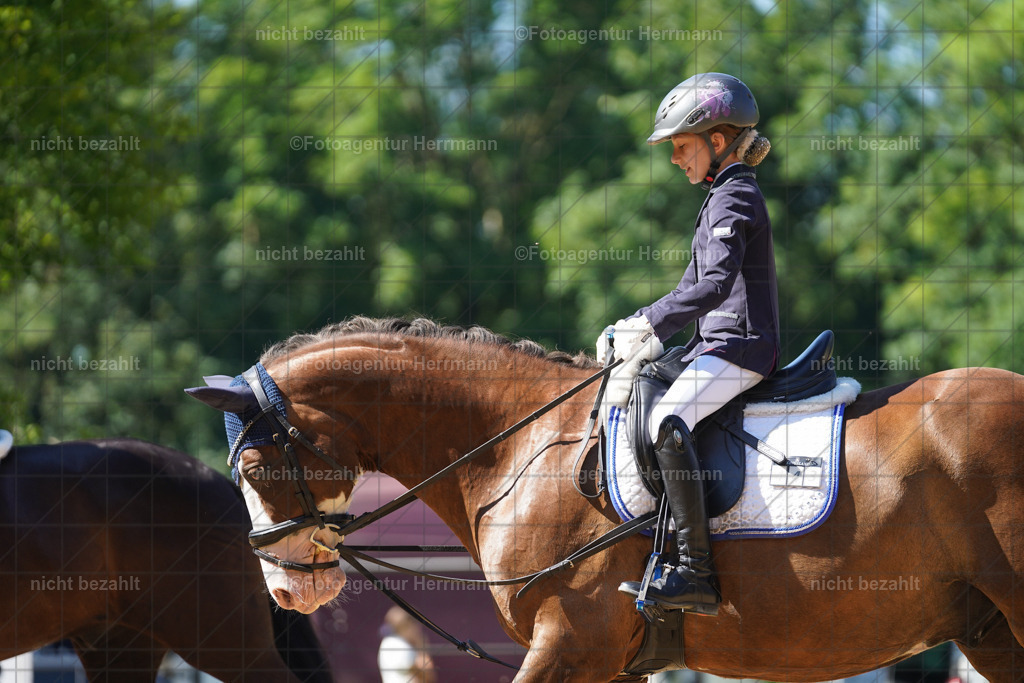 20240706-FAH04926 | Grafing Turnierfotos, Reitverein Ebersberg, Turnierfotografen Bayern, reitsportbilder, Pferdefotograf, reitsportfotograf, Sportbilder, Reitsportfotografie, Fotoagentur Herrmann, Turnierfotograf