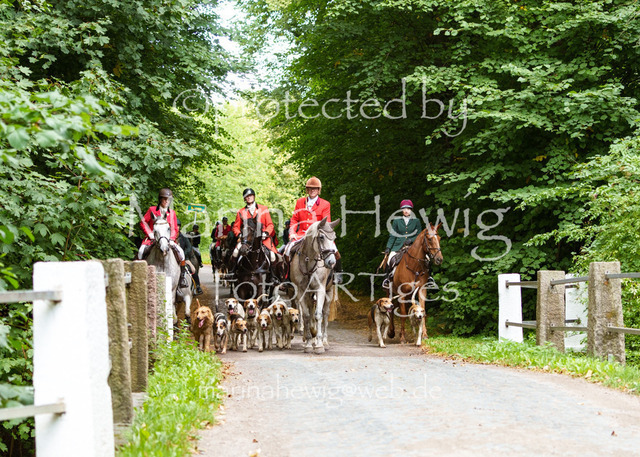 Jagd Knoop 26_MarinaHewigMCH02674 | Fotografie, FotoArt, PferdesportArt, Pferdesportfotografie, Landschaftsfotografie, Reisefotografie, Reise, Pferde - Realisiert mit Pictrs.com