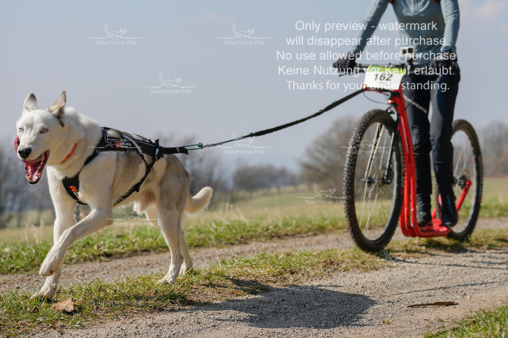 Scooter_Lang-160 | stephaniefillaphotographie - Realisiert mit Pictrs.com