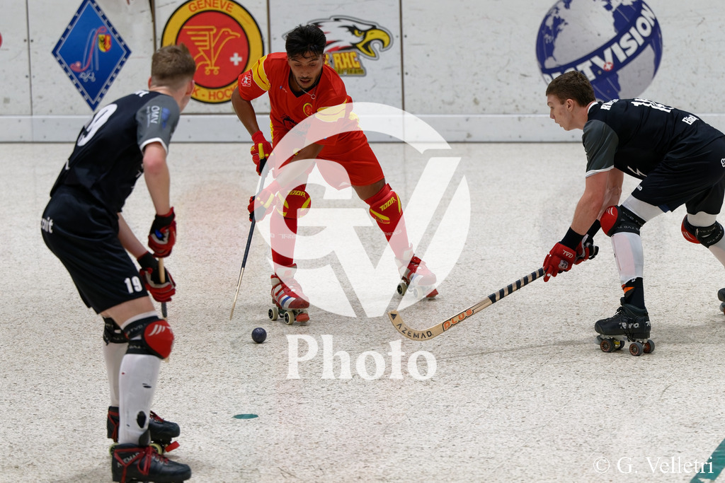 DSC_8884 | Velletri Photo