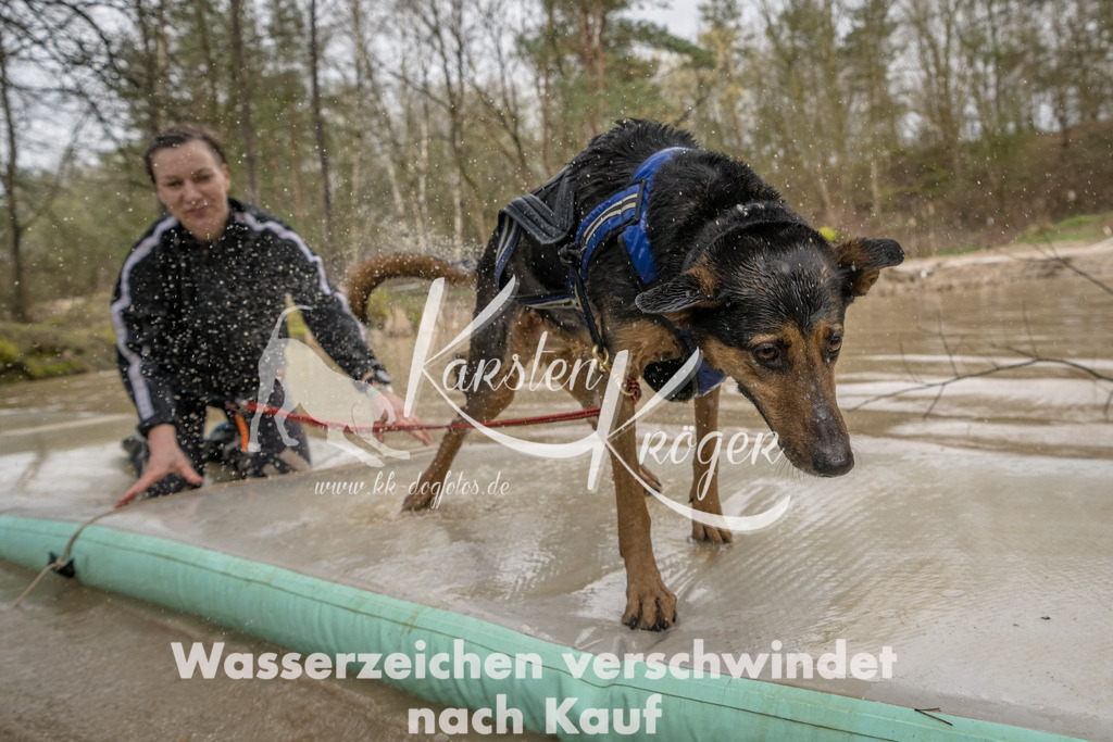 1328_ZZ90617-Bearbeitet | kk-dogfotos