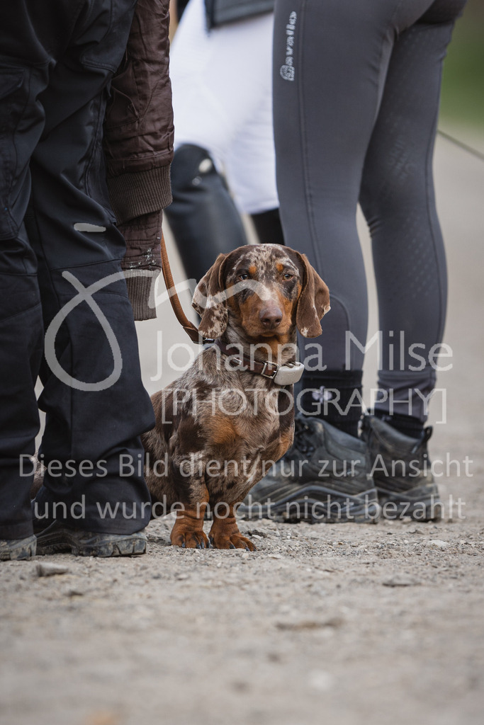 230410_Frühlingsfest_Dressurreiter-L_Impressionen-653 | Deine schönsten Turniermomente als professionelle Fotos! Entdecke hochwertige Pferdesport-Fotografie im Online-Shop. Jetzt Fotos finden & bestellen!