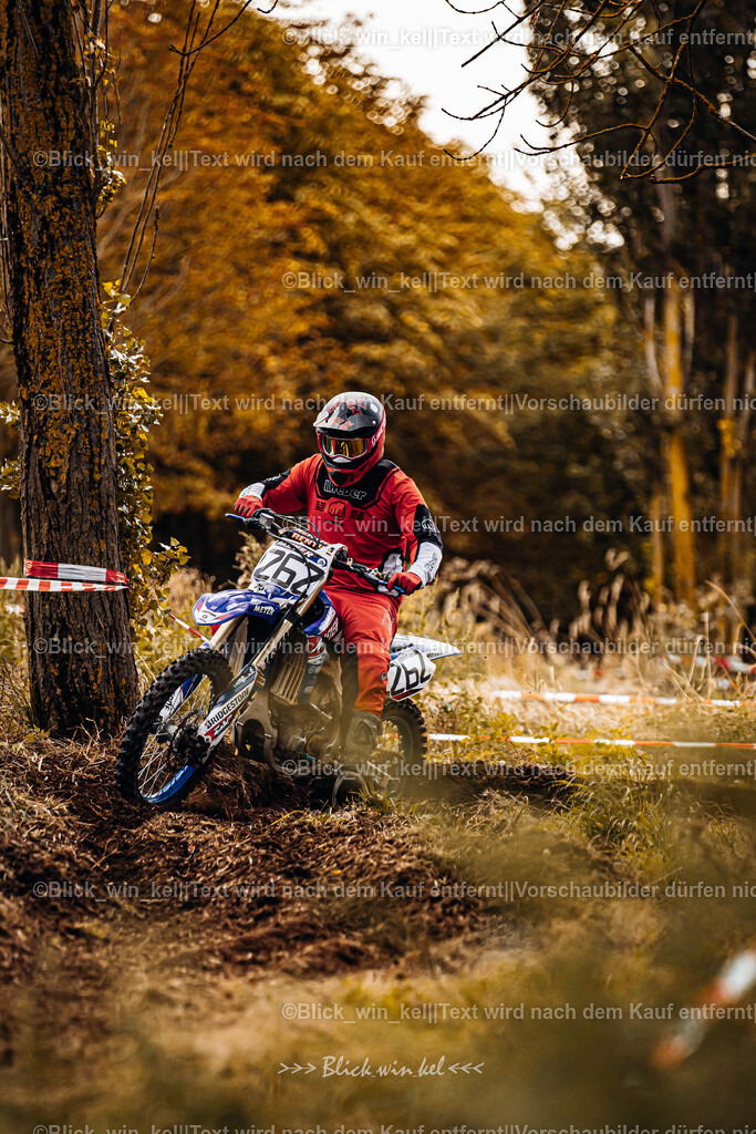 E68A1198 | blick_win_kel