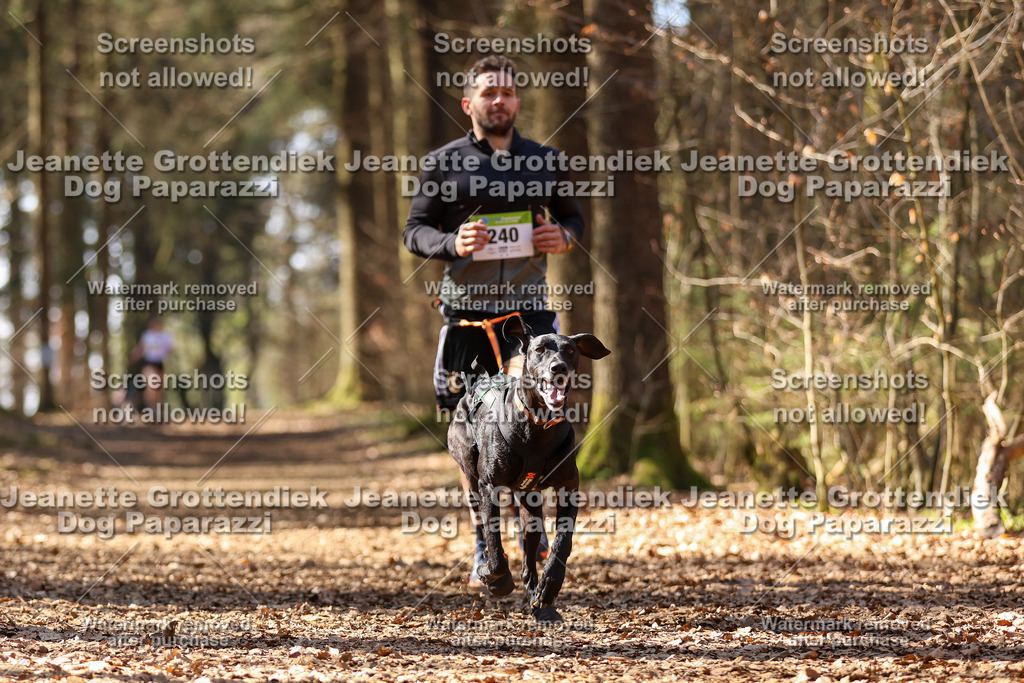 Dog Paparazzi - VCC26-1130 | Dog Paparazzi Jeanette Grottendiek Fotografie & Videografie - Realisiert mit Pictrs.com