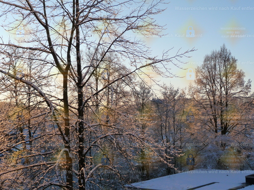 P1000223 | Fotoseite Wolkenblende - Das Hobby fotografieren begleitet mich schon  viele  Jahre. Auf den nächsten Seiten zeige ich ein paar Schnappschüsse der letzten Jahre und es kommen immer neue hinzu. Schau einfach mal rein. - Realisiert mit Pictrs.com