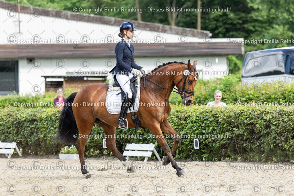 CL5A6311-2 | Emilia Reinking Fotografie - Realisiert mit Pictrs.com