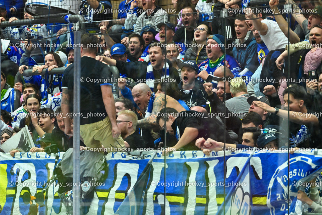 EC VSV vs. HC Bozen 16.2.2024 | EC VSV Fans, Absolut Villach, EC VSV vs. HC Bozen 16.2.2024, EC VSV vs. HC Bozen 16.2.2024 am 16.02.2024 in Villach (Stadthalle Villach), Austria, (Photo by Bernd Stefan)