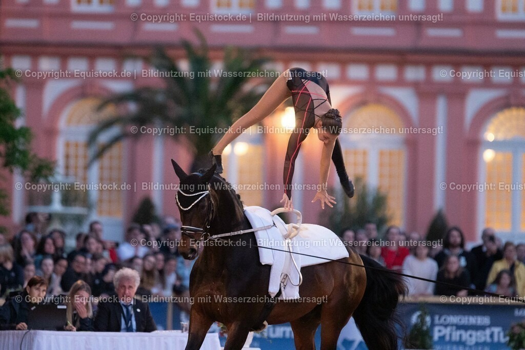 20230527_Voltigieren_NASPA_Flutlicht_0515 | equistock