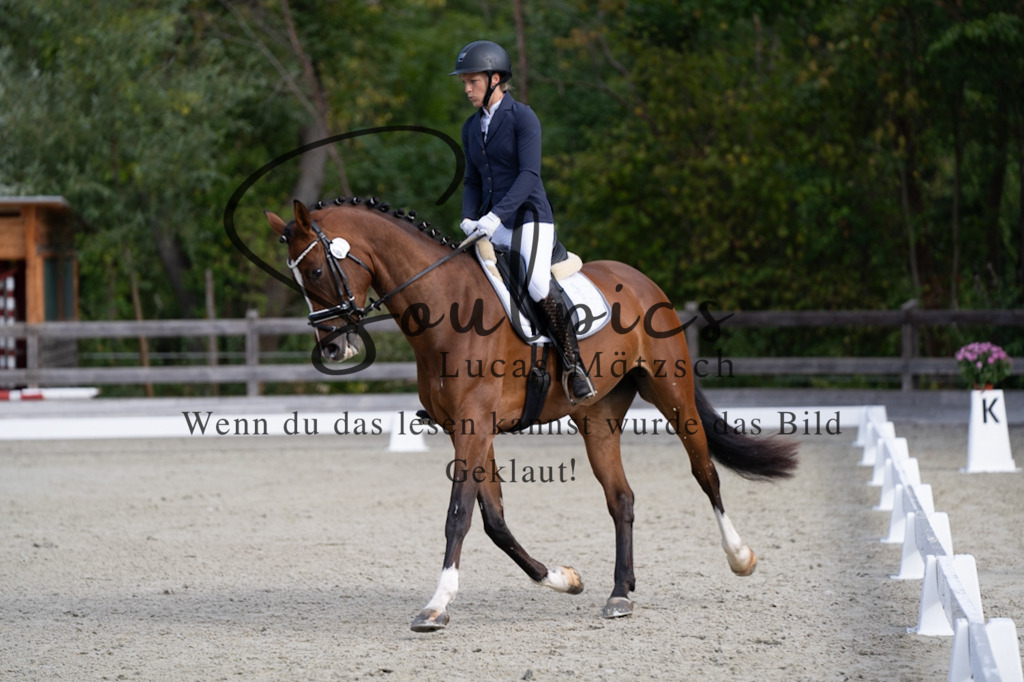 A7V06789 | Turnier/Reitfotograf