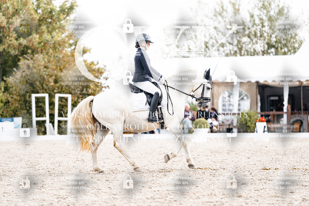 CK901584 | Turnierfotografie Pferdefotografie Trier Rheinland-Pfalz Pferdesport Reitsport Tierfotografie Sportfotografie Pferdevideo Pferdevideografie Equestrianvideography equestrianphotography  - Realisiert mit Pictrs.com